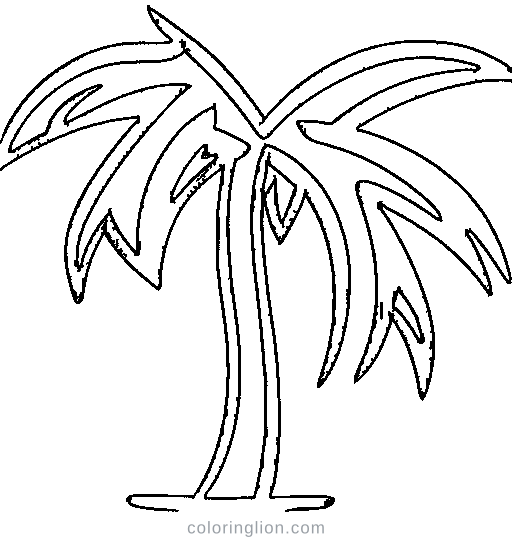 A palm tree Coloring Page