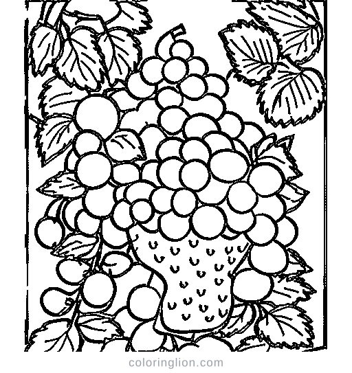 Grapes and Berry Coloring Page