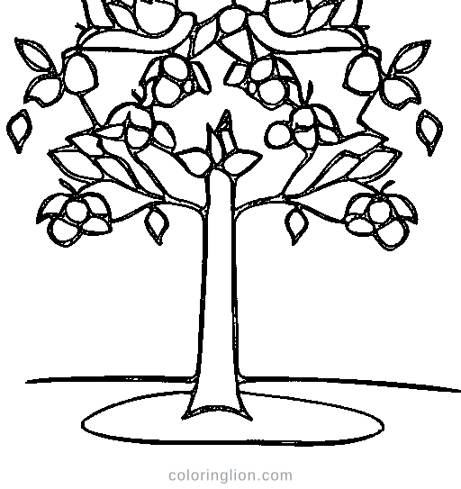 An apple tree with fruit Coloring Page
