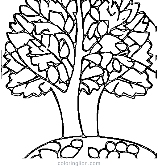 A tree with falling leaves in autumn Coloring Page