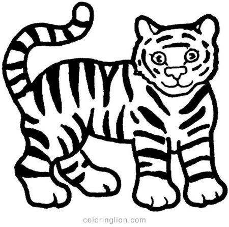 Wild Animals coloring page 1