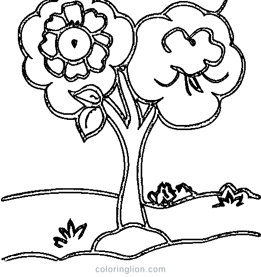 An apple tree with fruit Coloring Page