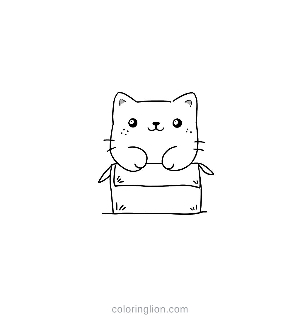 상자 속 고양이 색칠 도안