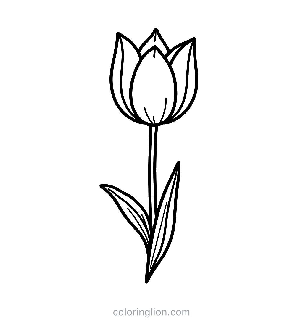 Tulip Coloring Page