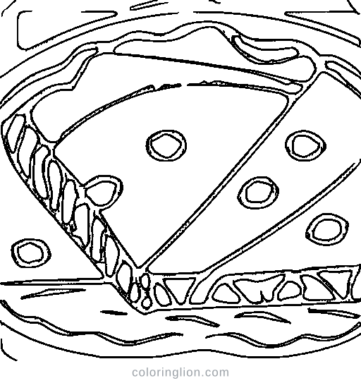 A pizza slice Coloring Page