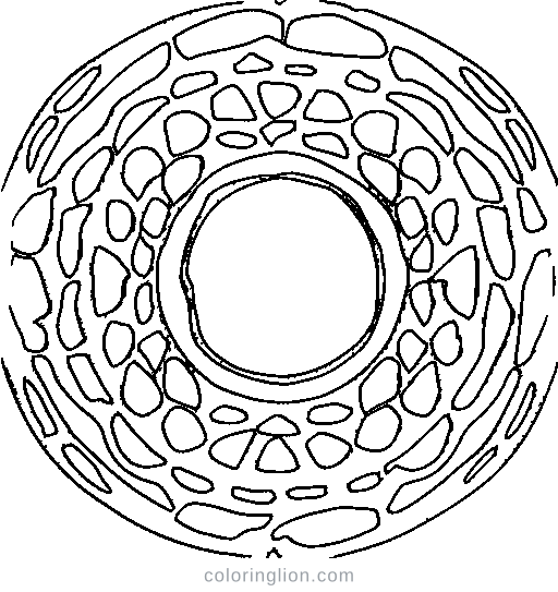 A donut Coloring Page