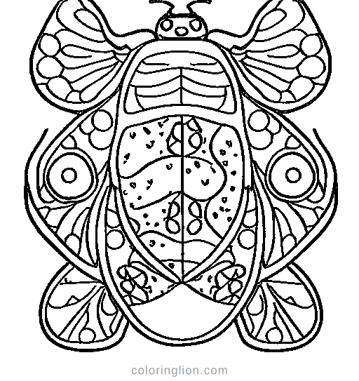 Ladybug Coloring Page