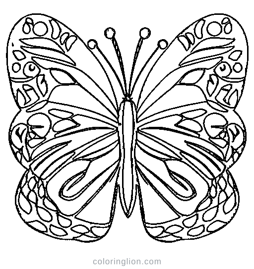 Butterfly Coloring Page