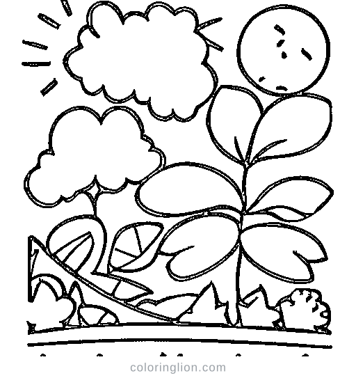 A tree with falling leaves in autumn Coloring Page