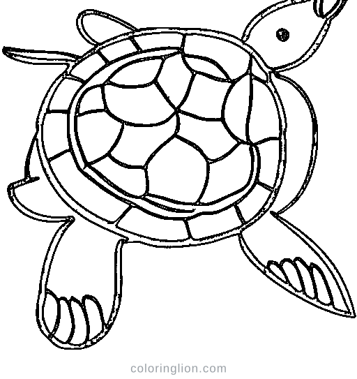 A sea turtle Coloring Page